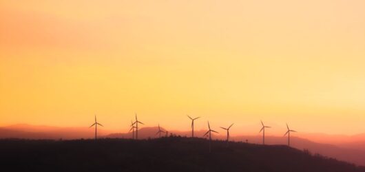 Como Aumentar Sua Energia Naturalmente e Dominar o Dia